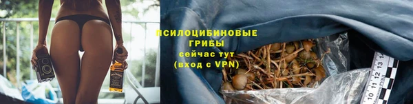 таблы Алзамай